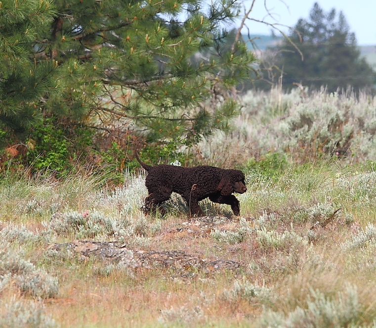 The Most Wonderful Time of the Year